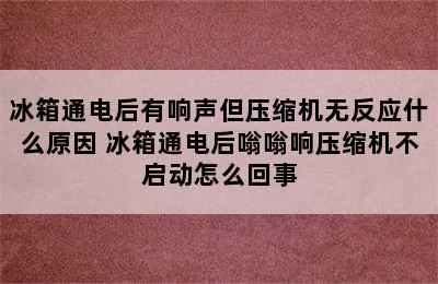 冰箱通电后有响声但压缩机无反应什么原因 冰箱通电后嗡嗡响压缩机不启动怎么回事